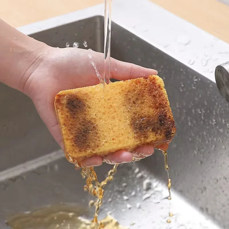 DualClean Kitchen Sponge