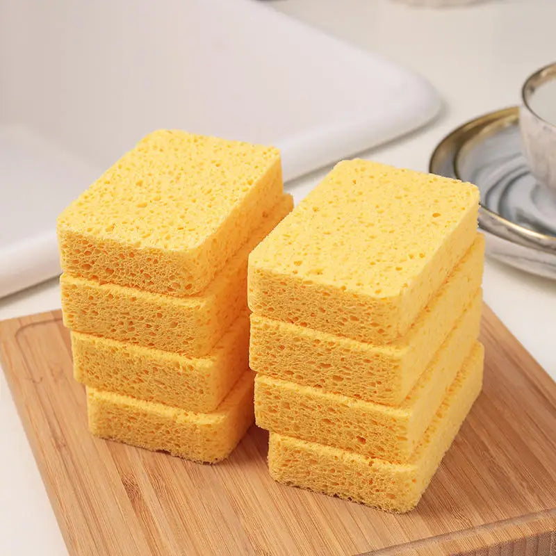 DualClean Kitchen Sponge
