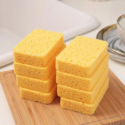 DualClean Kitchen Sponge