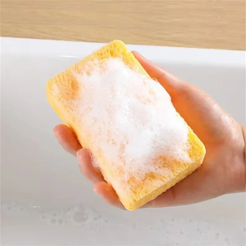 DualClean Kitchen Sponge