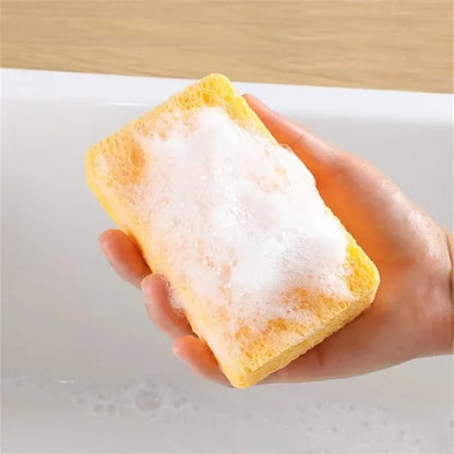 DualClean Kitchen Sponge