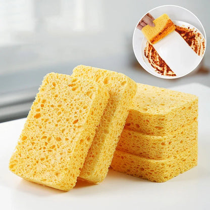 DualClean Kitchen Sponge