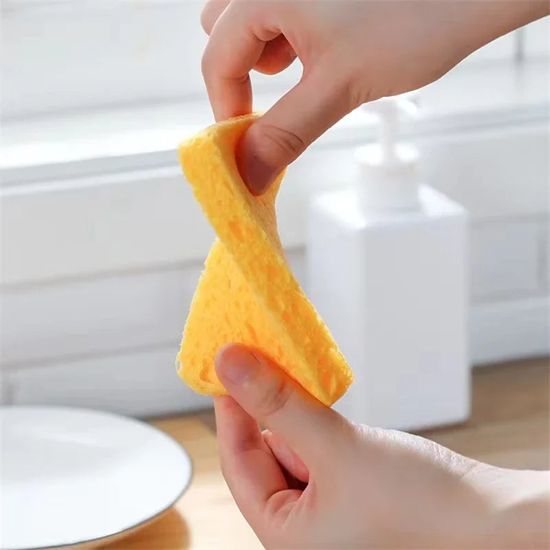 DualClean Kitchen Sponge